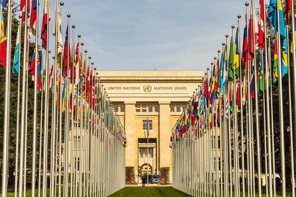 All the world's flags lined up in front of the UN building.